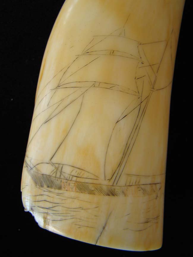 A 19th century American sailor Scrimshawed  Whale's Tooth with Lady and a Ship — image 2